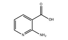 2-氨基烟酸